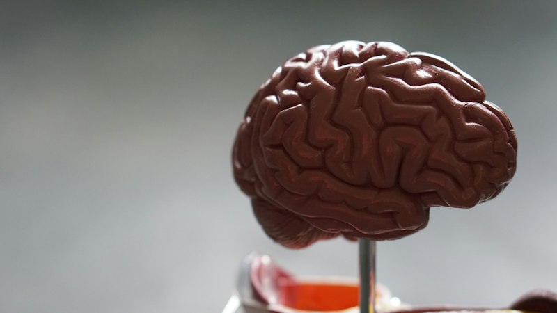 Memory and Neuro Health
